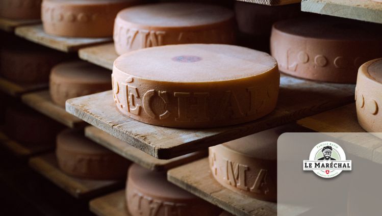 Stage_Fromages_Cheeses_Suisse_Marechal_2.1