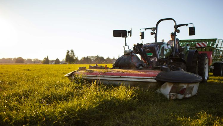 Fromages_Cheeses_Suisse_Savoir_Faire_Entete_1