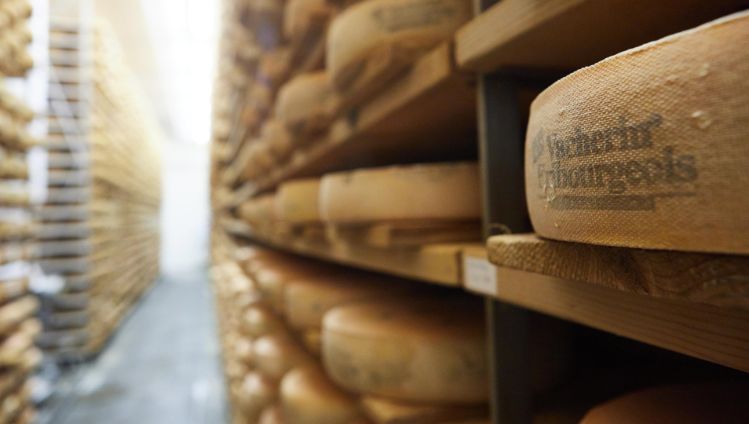 Fromages_Cheeses_Suisse_Mi_Dure_2.1