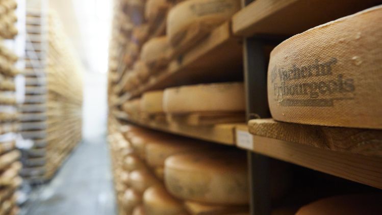 Fromages_Cheeses_Suisse_Mi_Dure_2.1